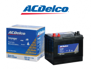 ACDelco Deep Cycle Battery M24-750SMF